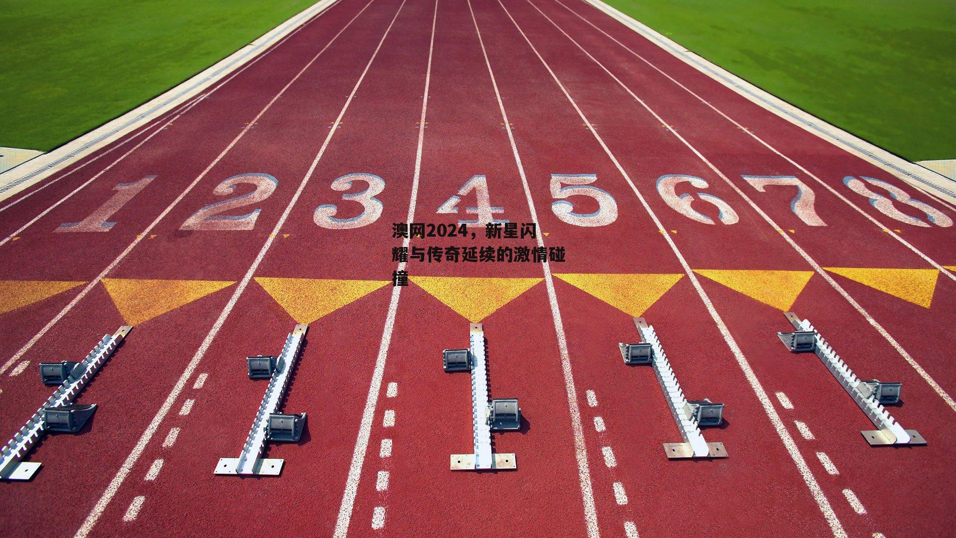 澳网2024,新星闪耀与传奇延续的激情碰撞