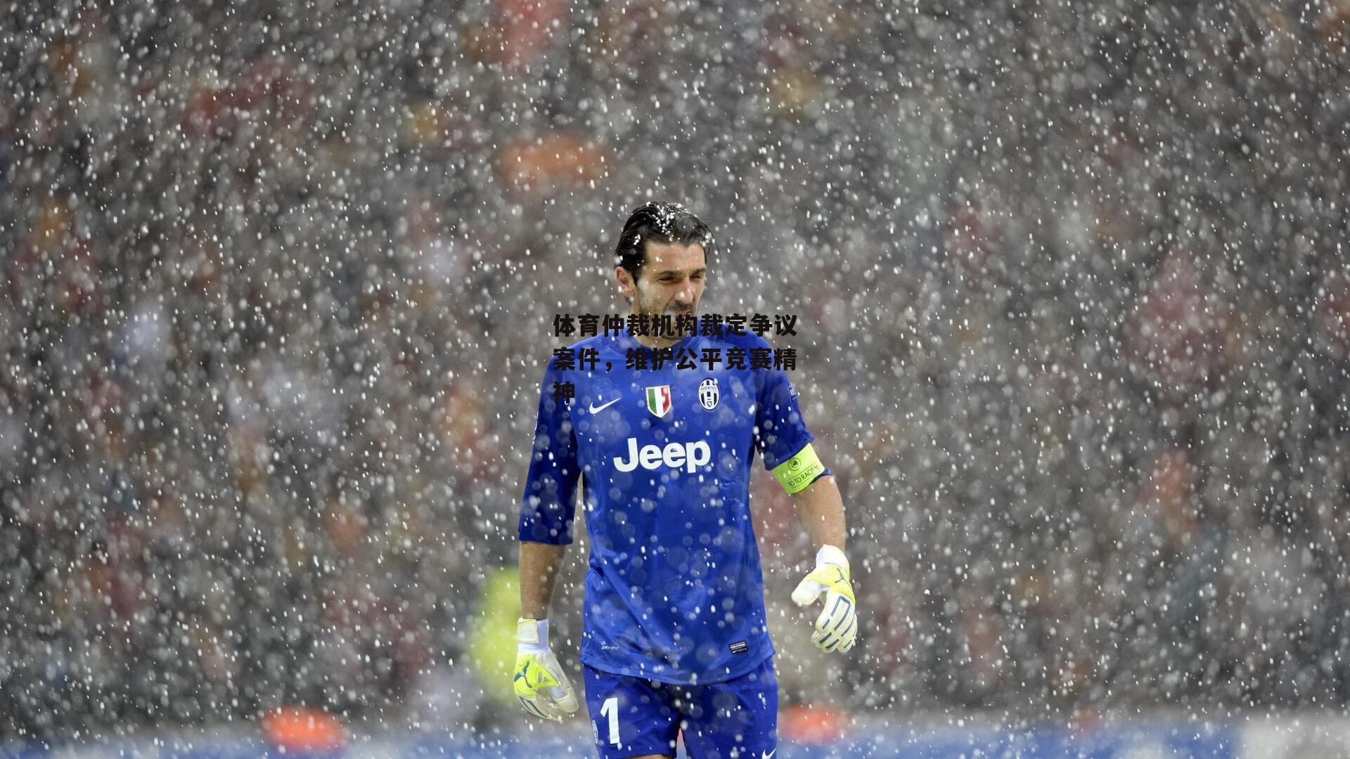 体育仲裁机构裁定争议案件，维护公平竞赛精神