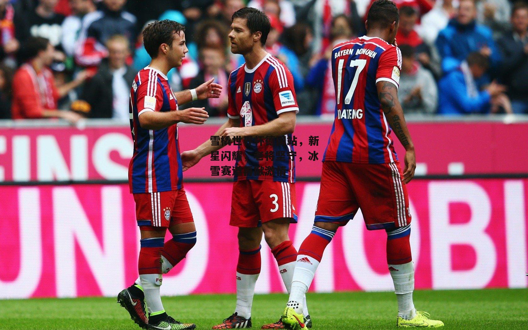 雪橇世界杯德国站,新星闪耀,老将坚守,冰雪赛道再掀激情