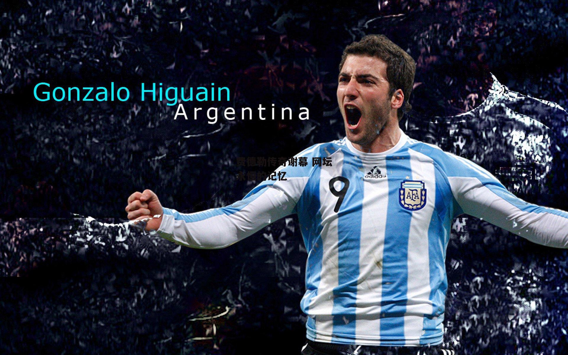 费德勒传奇谢幕 网坛永恒的记忆